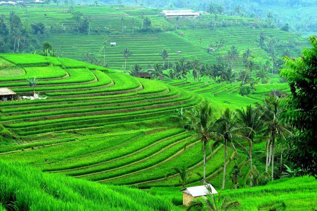 10 Best Places to Visit in Indonesia