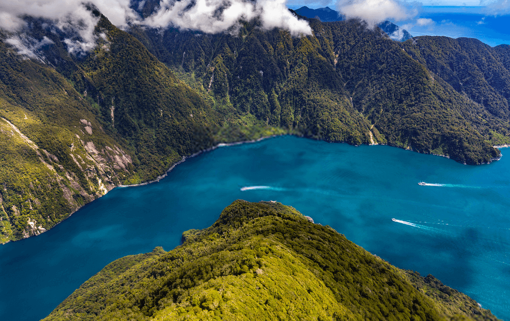 Tourist Attraction in New Zealand