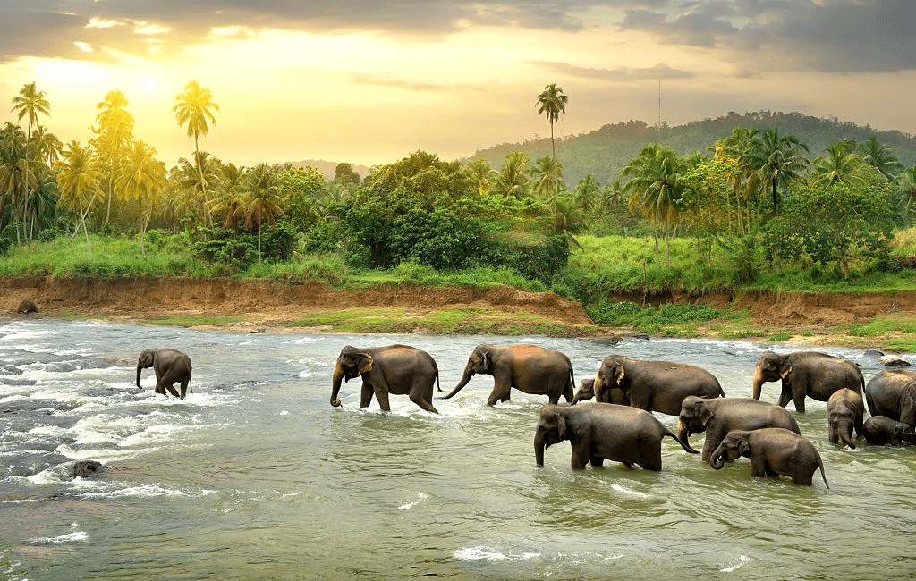 Tourist Attractions in Sri Lanka