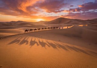 Camel caravan crossing Sahara dunes at sunset near Merzouga, Morocco