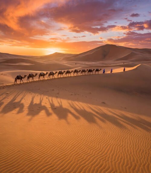 Camel caravan crossing Sahara dunes at sunset near Merzouga, Morocco