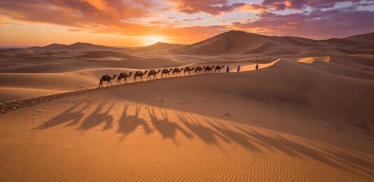 Camel caravan crossing Sahara dunes at sunset near Merzouga, Morocco