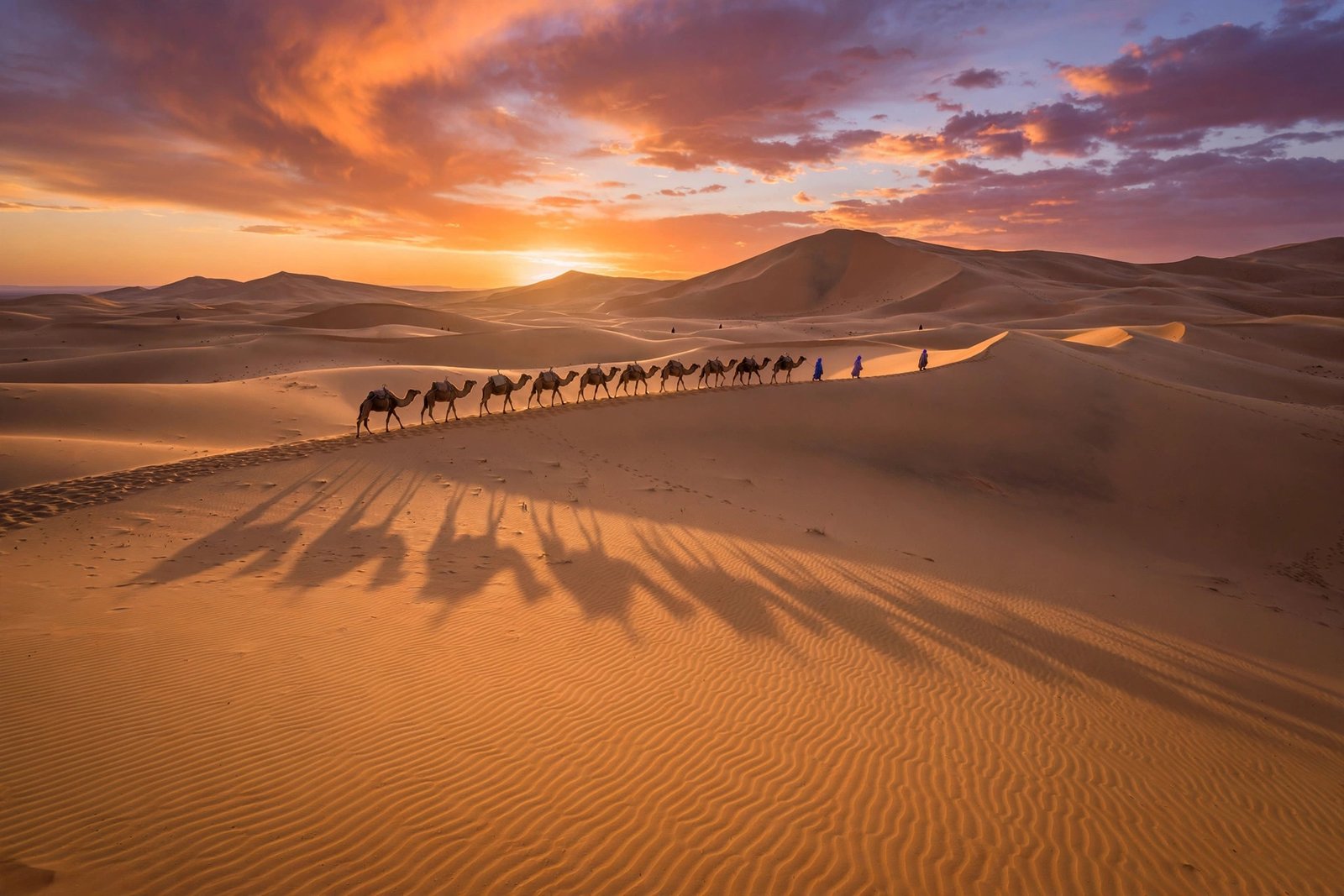 Camel caravan crossing Sahara dunes at sunset near Merzouga, Morocco